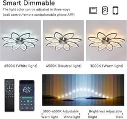 Equivera Plafonniere met Ventilator - Plafondventilator - Plafondventilator Afstandsbediening - Plafondventilator Slaapkamer - Plafond Ventilator met Verlichting - Plafondlamp - Plafonniere - Ideaal voor in uw slaapkamer! — thumbnail 2