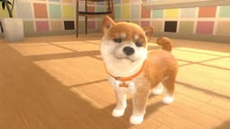 Little Friends: Dogs and Cats - Nintendo Switch — thumbnail 5