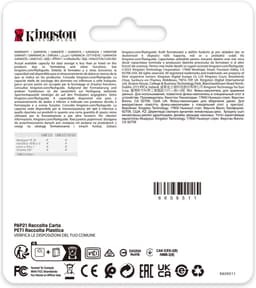 Kingston, USB-Stick 256 GB, Goud — thumbnail 2