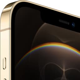 Apple iPhone 12 Pro Max - 512GB - Goud — thumbnail 2
