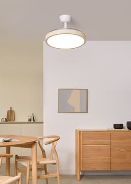 CREATE - Plafondventilator 40W stil met intrekbare bladen en LED-licht, verschillende maten - M - Met licht - Afstandsbediening - WIND CLEAR STUDIO — thumbnail 4