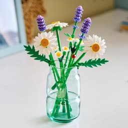 LEGO Botanicals - Madeliefjes Constructiespeelgoed — thumbnail 4
