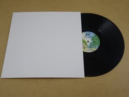 10 Stuks LP kartonnen buitenhoezen wit (GOEDE KWALITEIT, 300gr karton) zonder middengaten - hoezen, platenhoezen, beschermhoes, cardboard sleeve, outer cover, maxi-singles, lps vinyl platen, 12", 12 inch — thumbnail 2