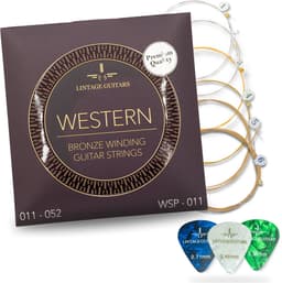 Premium Akoestische Western gitaar snaren - WSP-011 - Gitaarsnaren - Inclusief 3 Celluloid Plectra — thumbnail 1