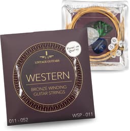 Premium Akoestische Western gitaar snaren - WSP-011 - Gitaarsnaren - Inclusief 3 Celluloid Plectra — thumbnail 4