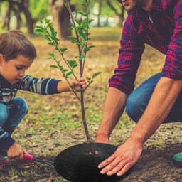 S Mulch voor bomen, 10 stuks, rond, vliesstof, herbruikbaar, voor park, tuin, gazon en binnenplaats, wortelbescherming en controle — thumbnail 2