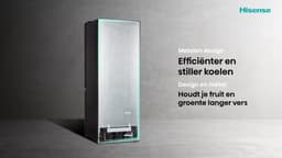 HISENSE RB390N4BCC - breedte 60 cm - hoogte 186 cm - inhoud 304 l - NoFrost — thumbnail 5