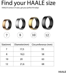 HAALE II Smart Ring met Oplaadcase - Silver - Size 12 — thumbnail 3