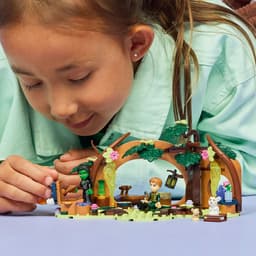 LEGO Wicked - Elphaba's schuilhut Constructiespeelgoed — thumbnail 5
