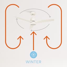 CREATE - Plafondventilator 40W silent Ø132 cm - Met Verlichting drie temperaturen - Met Wifi - Met Afstandsbediening - 6 Snelheden - Timer - Zomer/Winter functie - Wit - WIND STYLANCE — thumbnail 2
