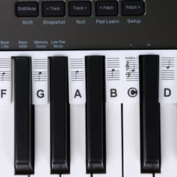 What's Goods - Afneembare siliconen piano toetsenwijzer - Piano (muzieknoten) leren spelen - 88 toetsen - Piano stickers - Zonder kleur wit — thumbnail 3