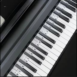 JWRgoods Siliconen Piano Stickers Afneembaar- Inclusief opbergbox - Toetsenwijzer - Herbruikbaar - Keyboard — thumbnail 1