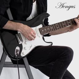Áengus Black Tweed Gitaarkabel Instrumentkabel - 6.35mm mono jack plug haaks/haaks - 6 meter — thumbnail 5