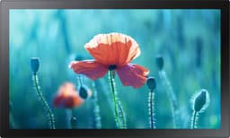 Samsung 13" Touch Display QBR-TM — thumbnail 1