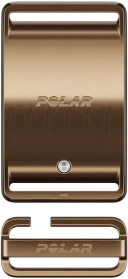 Polar Loop Bruin — thumbnail 3