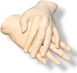 Handenbeeld | Handafdruk | Gipsafdruk | GipsHanden | Hand | 3D | Compleet Pakket bestaat uit 300 gram Casting Mix Poeder & 750 gram Gips | Bodycasting | Extensso® | Gipsafdruk | Alginaat | Een herinnering | Hobby Pakket | Bodycasting | Handbeeld — thumbnail 4