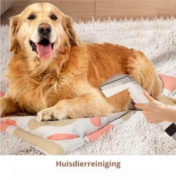 Livista® Vlekkenreiniger - Meubelreiniger - 4-in-1 Tapijtreiniger - 3 Opzetstukken - Grote Watertanks - IPX4 — thumbnail 3