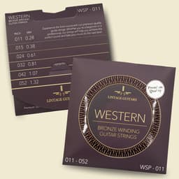 Premium Akoestische Western gitaar snaren - WSP-011 - Gitaarsnaren - Inclusief 3 Celluloid Plectra — thumbnail 5