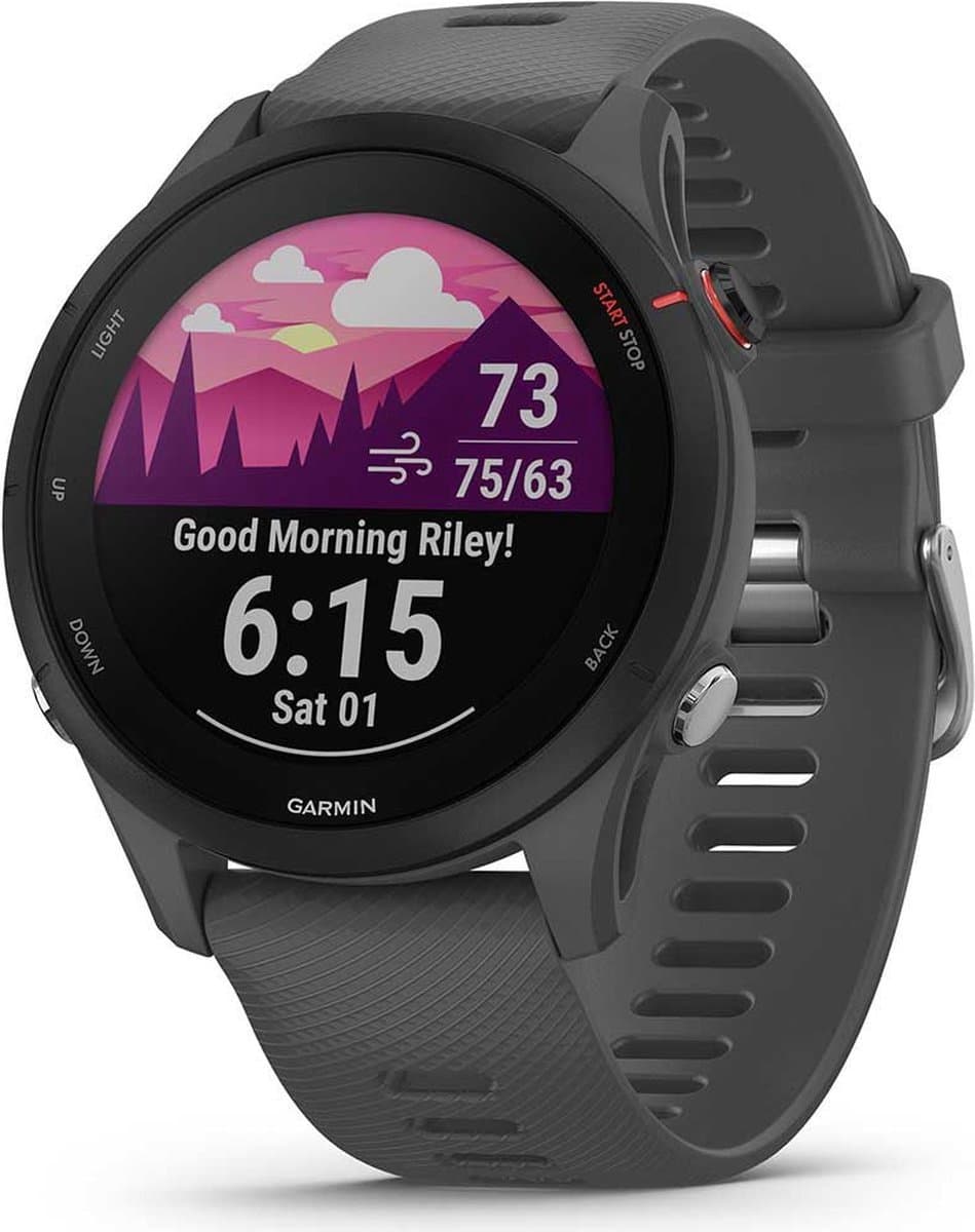 Garmin Forerunner 255 - Global versie - Sporthorloge met GPS - 46mm - Slate Grey — afbeelding 1