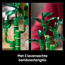 LEGO Botanical Collection - Bamboe Constructiespeelgoed — thumbnail 5