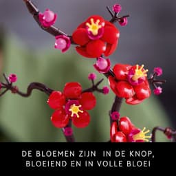 Lego Botanical Collection 10369 Japanse Abrikoos Bouwstenen — thumbnail 5