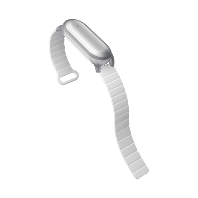 PLAUD Notepin Wristband