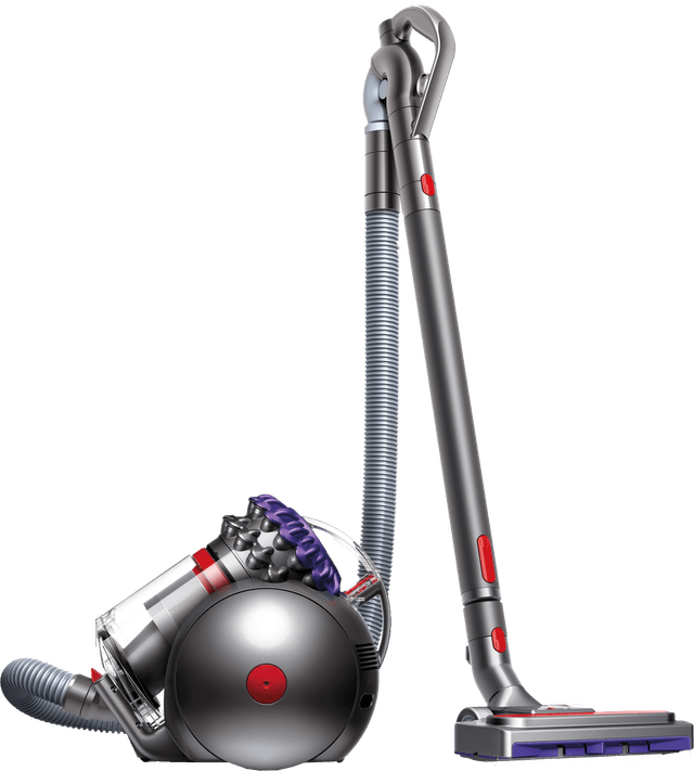 DYSON Big Ball Parquet 2 Paars