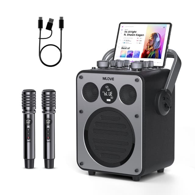 mlove Rangers D5 professionele karaokemachine voor volwassenen met bluetooth en 2 draadloze microfoons, draagbare PA-systeemluidspreker, opname, nagalm, gitaarversterker voor thuisfeestjes en buitenevenementen, 200 W zwart