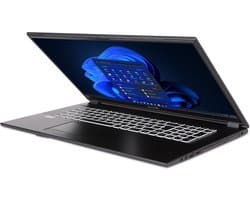 Terra Mobile 1716R 17.3" FullHD laptop - Intel Core i3-1315U - 64GB - 1.0TB M.2 SSD - DVD±RW - Windows 11 Pro