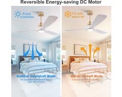 HAUSS SPOLE Ventilator - Plafondventilator Met Verlichting - 132 Cm - ABS - Wit Goud - Met Afstandsbediening, Omkeerbare DC Motor En Geheugenfunctie