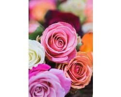 Rosas Multicolor: Cuaderno con líneas y diseño floral vibrante