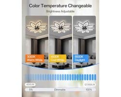 Moderne Plafondventilator met Dimbare LED Verlichting en Zomer-Winter Functie voor Slaapkamer en Keuken
