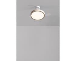 CREATE - Plafondventilator 40W stil met intrekbare bladen en LED-licht, verschillende maten - S - Met licht - Afstandsbediening - WIND CLEAR STUDIO