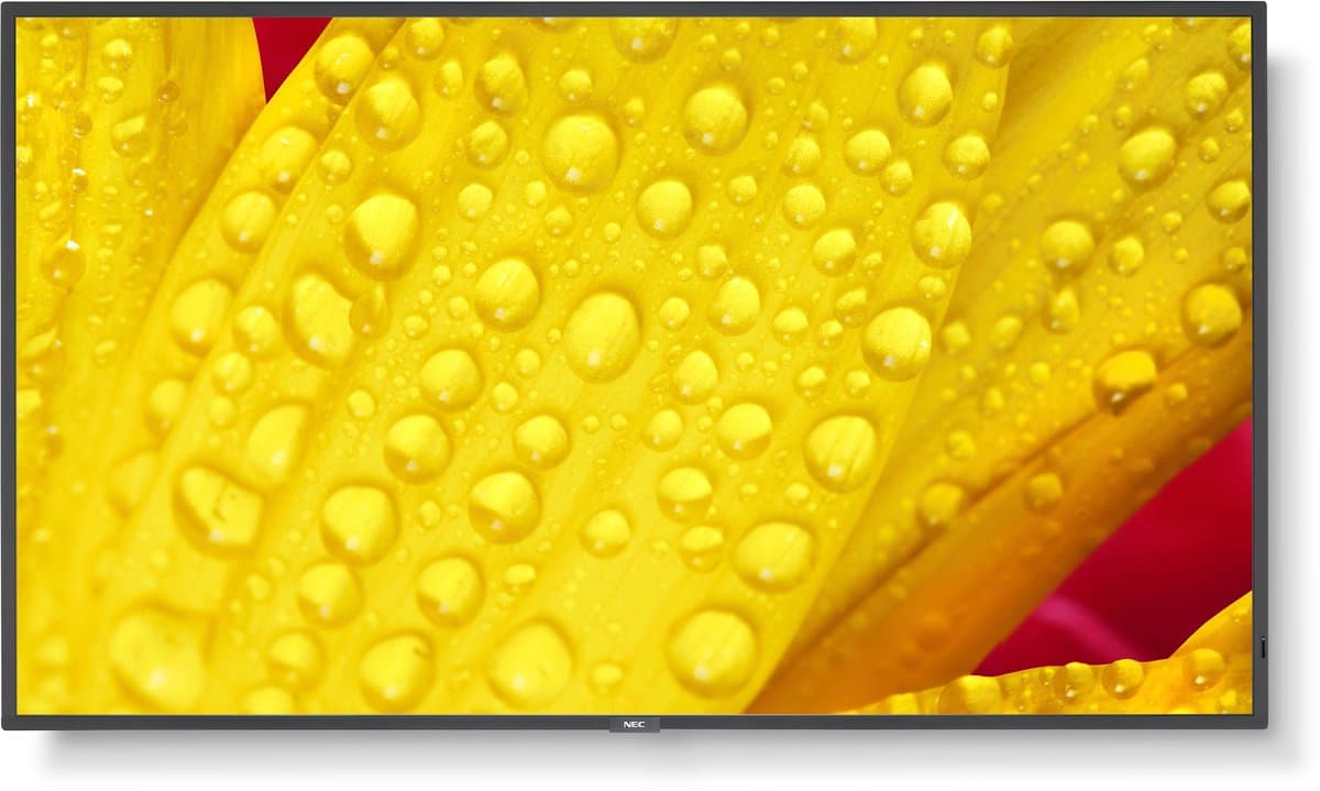 Monitor NEC 60006084 50" 4K Ultra HD — afbeelding 1