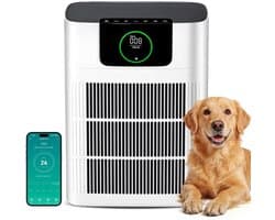 Luchtreiniger HEPA-filter Actieve Koolfilter - 330 m³/h Capaciteit - 100 m² Oppervlak - Elektrisch Snoer - Voor Allergieën En Huishoudens