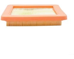 Dailygoods- Luchtfilter Vervanging - Compatibel met GCV145/170/200 - HRU19/HRN216/HRX217 - HRG466 - 17211-Z8B-901 - Motorfilter