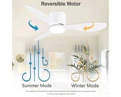 Raven Trading - Plafondventilator met LED Verlichting 132 cm – Afstandsbediening, 6 Snelheden en Zomer-/Winterfunctie – Stille Energiezuinige Ventilator met Instelbare Lichtkleur voor Woonkamer, Slaapkamer en Kantoor