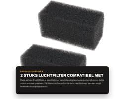 Dailygoods- Luchtfilter - 2 stuks - Compatibel met MTD/Troy-Bilt - Hoogwaardige filtratiematerialen - 2.5x5 cm - Motorbescherming - Motorfilter