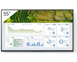Sony BRAVIA Professional FW-55BZ30L display