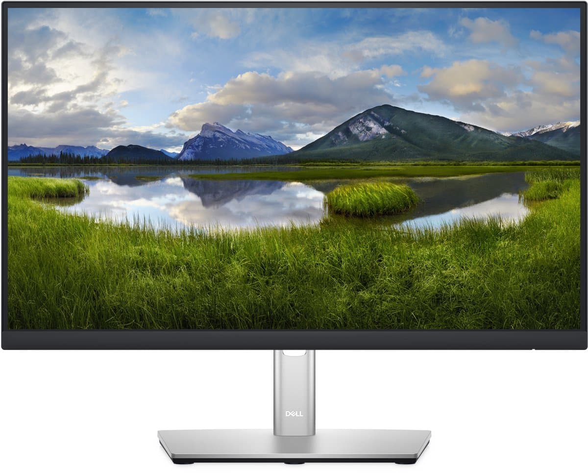 DELL 22" monitor - P2222H — afbeelding 1