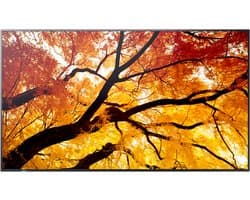 Sharp MultiSync M862 Digitale signage flatscreen 2,18 m (86) LCD 550 cd/m² 4K Ultra HD Zwart 24/7