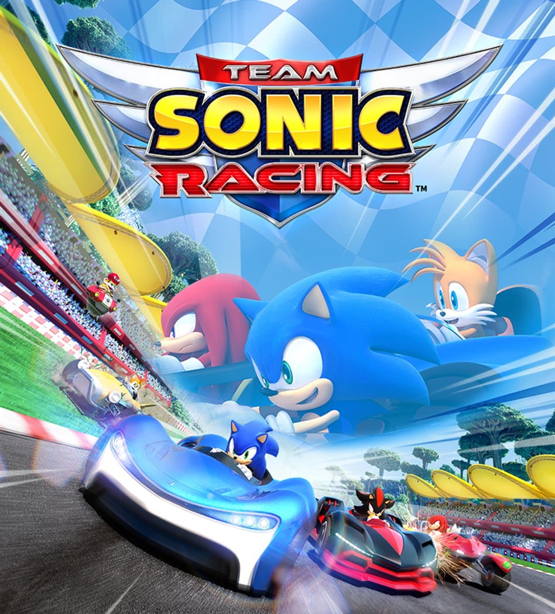 Sony Team Sonic Racing, PS4 Basis PlayStation 4 — afbeelding 1