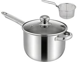 Mini Friteuse - Compacte Frituurpan - Thuis Koken - Roestvrij Staal - 2.5 Liter - Zilver