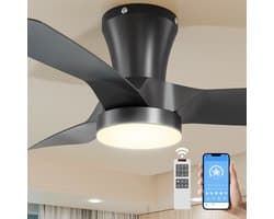 Epochglo Plafondventilator met Verlichting Klein (30"), Stille DC Motor & APP/Afstandsbediening, 22W LED Lamp Dimbaar 3000K-6000K, 6 Standen & Timer, Zomer- en Winterstand voor Slaapkamer, Eetkamer, Woonkamer, Zwart