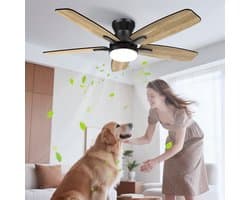 Plafondventilator met Licht – 106 cm – Stille DC Motor 20 dB – Dimbare LED – Afstandsbediening – 6 Snelheden