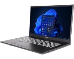 Terra Mobile 1716R 17.3" FullHD laptop - Intel Core i5-1334U - 64GB - 500GB M.2 SSD - Iris Xe Graphics - DVD±RW - Windows 11 Pro