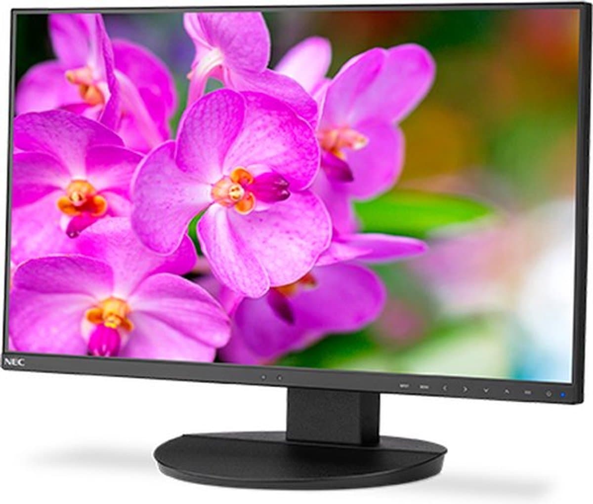NEC MultiSync EA241F-BK 61 cm (24") 1920 x 1080 Pixels Full HD LED Zwart — afbeelding 1