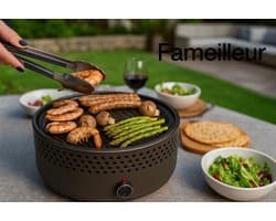 Fameilleur barbecue- tafel barbecue- draagbaar- makkelijk verplaatsbaar- compact- grill- tafel grill- grillplaat-Draagbare Barbecue – Rookvrij Grillen op Balkon of Terras – Compact, houtskool, Afwasbaar en Ideaal voor Houtskool of Briketten- houtskoo
