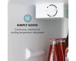 Klarstein Cool Kid - Drankenkoelkast, minikoelkast, minibar, 66 liter inhoud, 109 kWh/jaar, vrijstaand, 45 x 63 x 51 cm (B x H x D), 42 dB, grijs / geborsteld roestvrij staal - 66L - voor Bar - Drankkoelkast - Drankenkoeler