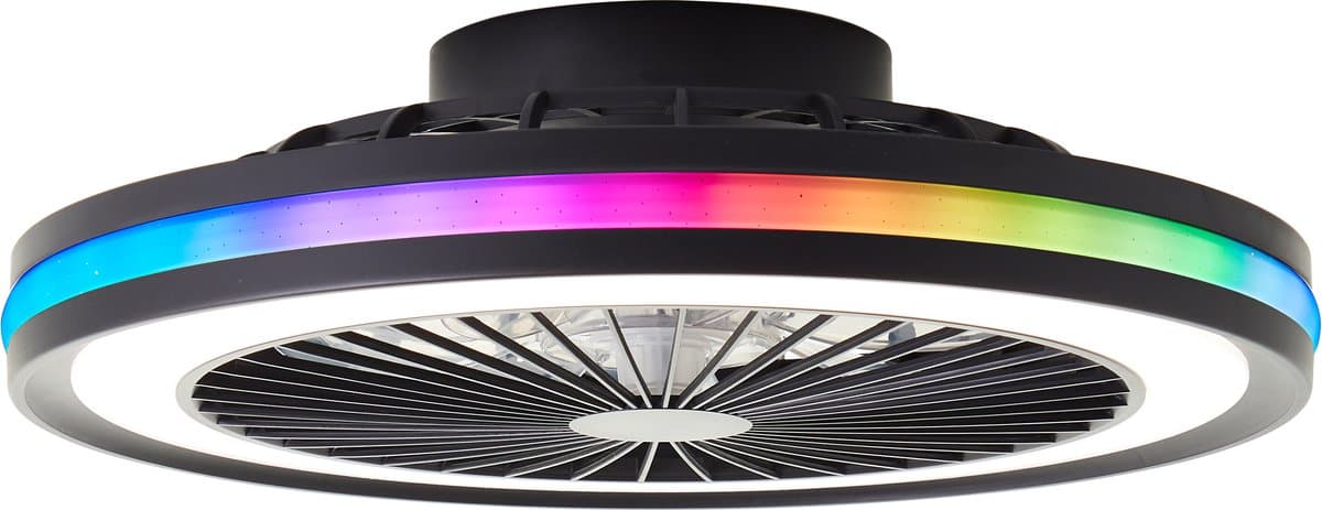 Brilliant Palmero - Plafondventilator - Plafondventilator - LED 40W - 3000K-6500K - Dimbaar - Zwart — afbeelding 1